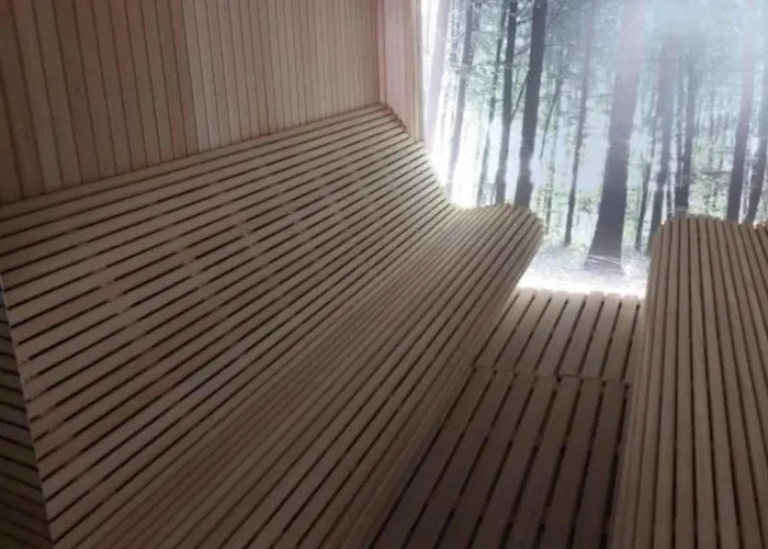 Lux N85 * 科帕奥尼克